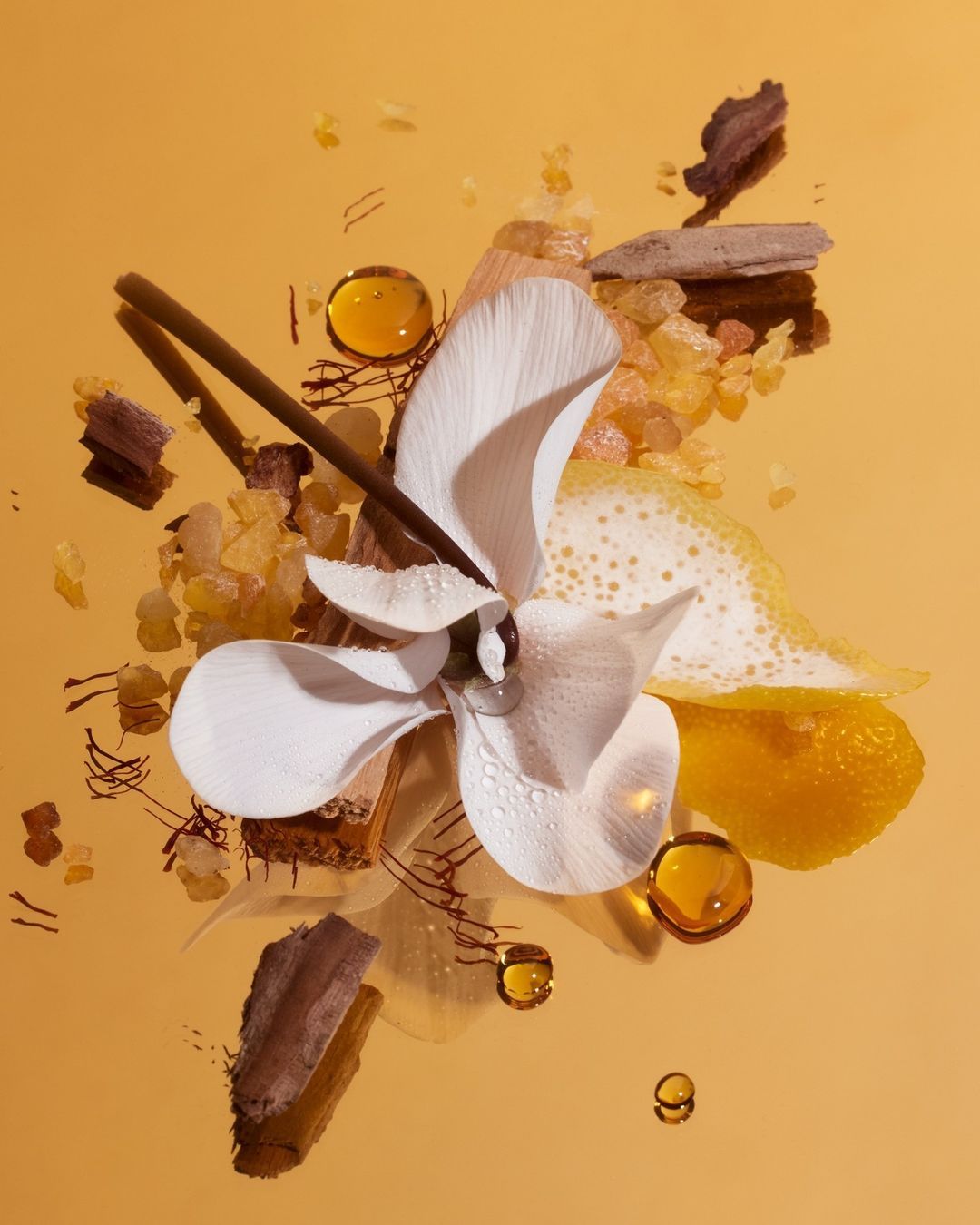 Women • Amber & Gourmand